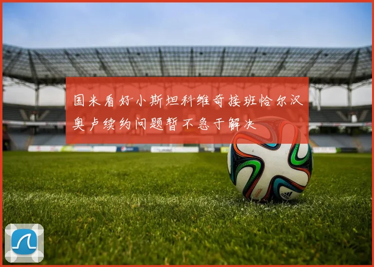 国米看好小斯坦科维奇接班恰尔汉奥卢续约问题暂不急于解决